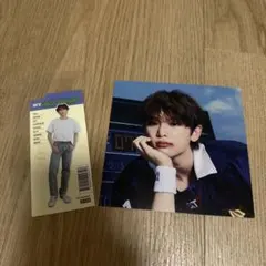 &team HARUA Firsthowlingnow ポストカード　シーグリ