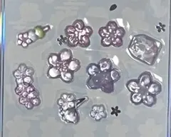 BONBON DROP シール桜　おすそ分け