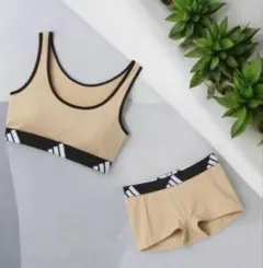 【アディダス ハーフトップ ショーツ セットアップ】ロイヤルベージュ 新品