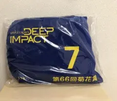 新品　ゼッケン型　クッション　ディープインパクト 2026年最新】ディープインパクトクッションの人気アイテム - メルカリ