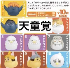 【天童覚】ハイキュー!! おすわりちょこん2