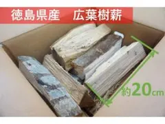 Item thumbnail for item f6c4162a-3b57-414a-ac81-bbccdadef0fb