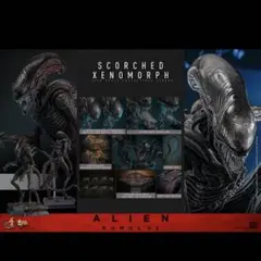 Item thumbnail for item 85e59ede-cc7d-499c-8fa0-6cbcc2304a31