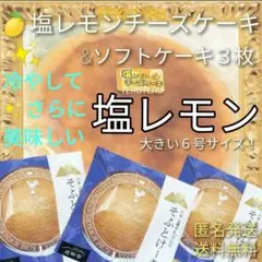 ③塩レモン チーズケーキ ６号１個 そふとけーき３枚 アウトレット 大阪前田製菓のサムネイル