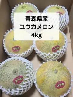 青森県産 メロン ユウカメロン 優香メロン 4kg 箱込み 青森県産 メロン ユウカメロン 優香メロン 4kg 箱込み - メルカリ