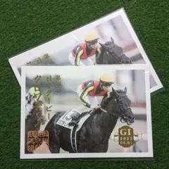 有馬記念 1994年 第39回グランプリ 中山競馬 入場券 半券 JRA - メルカリ