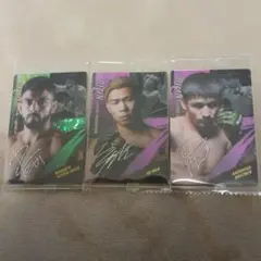 るるすかい様専用　RIZINサイン入りカードサトシ、ヤーマン、ダウトベック