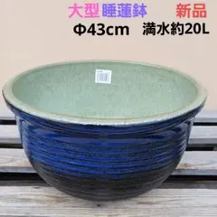 新品 ∅50 陶器 睡蓮鉢 特大 楕円 メダカ鉢 白 ホワイト ルーバー LWH