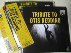 Item thumbnail for item 2c58b686-dc0a-47c4-97d3-66f810ca0cf8