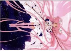 Ｐ　魔法少女まどか☆マギカ10(展) クリアファイルアーカイブ