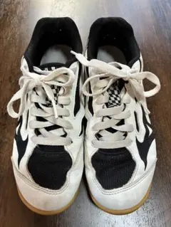 Item thumbnail for item e74b3023-73ee-4bd9-9b63-555cc47d668e