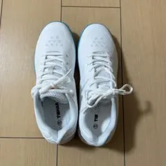 Item thumbnail for item c340e18f-d567-4f89-92e2-48958e842cc2