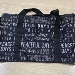 Item thumbnail for item 402bb9ab-da5e-4388-82a1-aa071a64b8c2