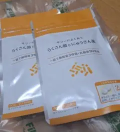 フィネス黄酸汁豊潤サジー300ml&サジーによくあうらくさん菌とにゅ