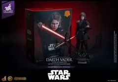 ホットトイズ ダースベイダー アナキンスカイウォーカー アルチザン　SWCJ ホットトイズ アナキン ダース・ベイダー HOT TOYS SWCJ アルチザン