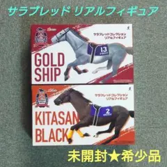 【希少品】サラブレッド リアルフィギュア ゴールドシップ＆キタサンブラック