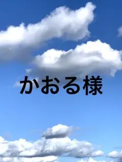 かおる様 リクエスト 5点 まとめ商品