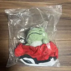 ポケモン一番くじ　E賞　巾着入りマスコット