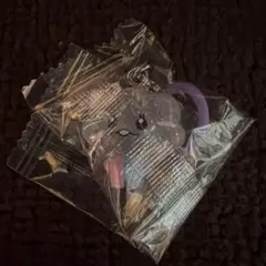 TREASURE TRUZ ガチャガチャ WOOPYめじるしアクセサリー