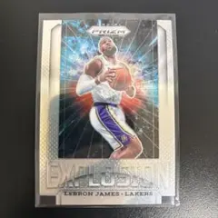 2018 Lebron James レブロン・ジェームズ 3D カード SSP PSA 10】LeBron James レブロン・ジェームス SSP-キャロウェイXJ
