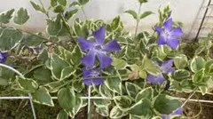 きーちゃん様 リクエスト 4点 まとめ商品