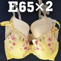 E65ブラジャー　２枚セット　トリンプ　ゴールドレーベル＆天使のブラ