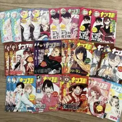 ナツコミ2023 ステッカー 13種類×各2枚 　合計26枚セット