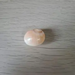 조개 방침 패키지