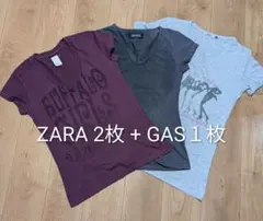 ZARA T シャツ2枚 + GAS T シャツ1枚のサムネイル