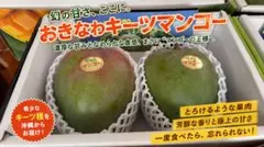 沖縄県産　希少！キーツマンゴー　訳あり　4〜8玉　4kg（箱込み）沖縄産 甘〜い 沖縄県産 希少！キーツマンゴー 訳あり 2〜4玉 2kg（箱込み）沖縄産 甘