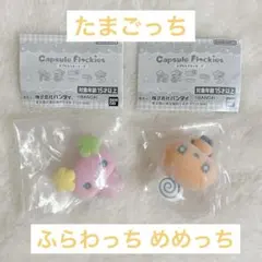 【新品未開封】たまごっち カプセルフロッキーズ ガチャガチャふらわっち めめっち