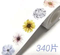 Item thumbnail for item 8c6f56f9-6cf1-47d0-bf9b-c6b80b50107c