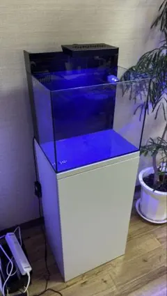 2026年最新】shell2 水槽の人気アイテム - メルカリ