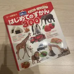 BCキッズ おなまえ いえるかな? はじめてのずかん300 英語つき