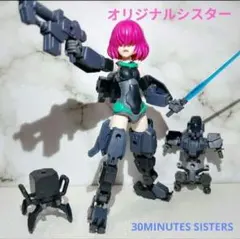 2026年最新】30Ms ジャンクの人気アイテム - メルカリ