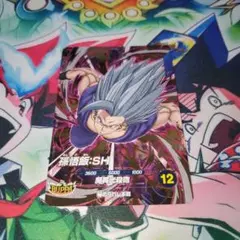 SDV11-050　孫悟飯：SH　GDRのサムネイル