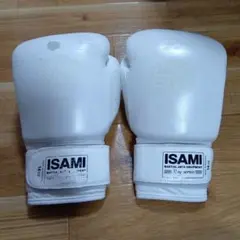 2025年最新】イサミ グローブ 14の人気アイテム - メルカリ