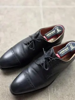 SCOTCH GRAIN 2773 内羽根 ストレートチップ 25cmのサムネイル