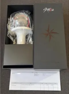 Stray Kids スキズ ペンライト ver2