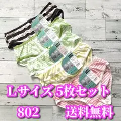 Lサイズ❤️５枚セット ボーダー柄 綿混 レディース ショーツ まとめ売り802