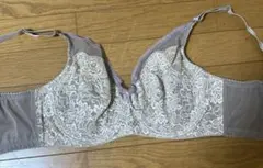 ダイアナ　ダイアジェンヌ　ブラジャー　E75