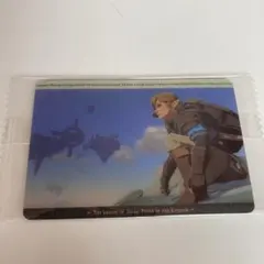 ゼルダの伝説: ティアーズ・オブ・ザ・キングダム ビジュアルカード