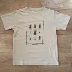 mont-bell モンベル昆虫プリント Tシャツ 120cm ベージュ