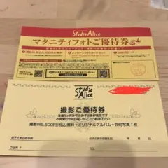 スタジオアリス★マタニティフォト＆撮影ご優待券セットのサムネイル