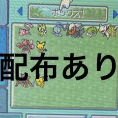 ポケモン プラチナ 【配布ポケモンあり】
