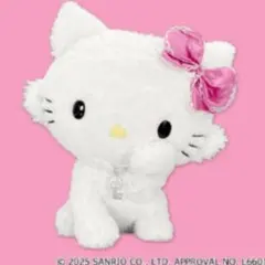 新品 チャーミーキティ BIGぬいぐるみのサムネイル