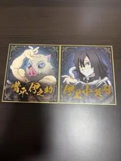 鬼滅の刃 ヴィジュアル色紙コレクション 嘴平伊之助 伊黒小芭内