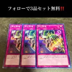Eve様 リクエスト 2点 まとめ商品 - メルカリ