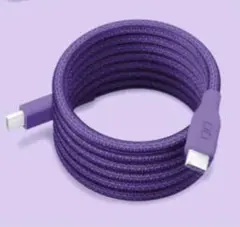 【新品未開封】CIO スパイラルケーブル パープル（福袋限定色）