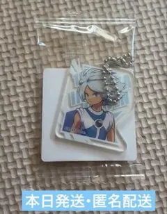 イナズマイレブン アクリルキーチェーン アクリミニ ガゼル